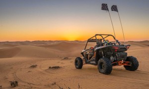 Experience the Thrill of the Desert with Dubai's Best Buggy Tours