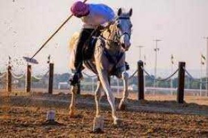 Famous traditional sports in the UAE