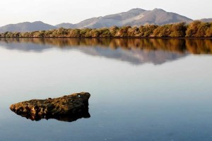 Exploring the Beauty of Kalba in Sharjah A Hidden Gem in the UAE