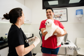 How to Choose the Best Vet Clinic in Dubai for Your Pet