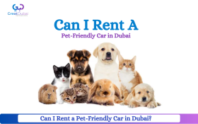 Can I Rent a Pet-Friendly Car in Dubai | Great Dubai