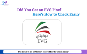 Did You Get an EVG Fine? Here's How to Check Easily