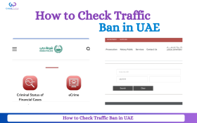 How to Check Traffic Ban ✈️ in UAE With Great Dubai