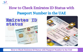 How to Check Emirates ID Status with Passport Number in the UAE