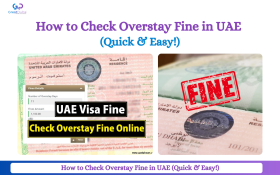 How to Check Overstay Fine in UAE (Quick & Easy!)