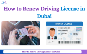 How to Renew Your Driving License in Dubai Easily | Simple Steps