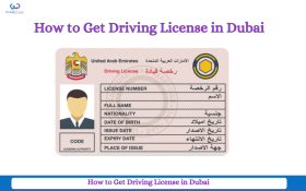 How to Get Driving License in Dubai With Great Dubai