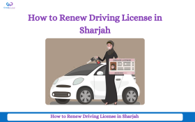 How to Renew Your Driving License in Sharjah With Great Dubai