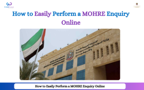 How to Easily Perform a MOHRE Enquiry Online With Great Dubai