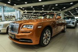 Rolls Royce musterd