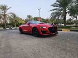Ford mustang Model: 2022 for sale