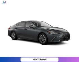 2023 GCC ES300H with Service Contract and Warranty