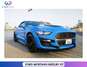 RENT FORD MUSTANG SHELBY GT350 CONVERTIBLE V4