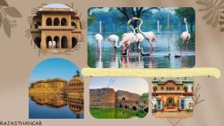Hire Professional Tour Guide in Rajasthan