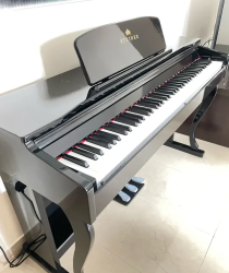 Steiner DP800 Digital Piano