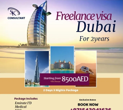 UAE 2years freelance visa available
