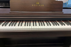 Steiner Digital Piano-DP-200V2