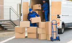 movers furniture delivery service