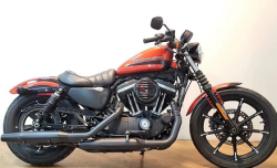 Harley Davidson Iron 883XL 2020
