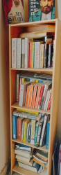 Book Shelf with books for sale in good Condition