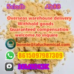 High quality hot selling high quality 5cl best price 6