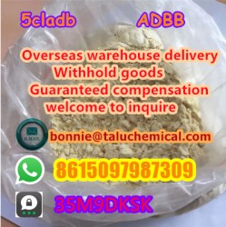 High quality hot selling high quality 5cl best price 13