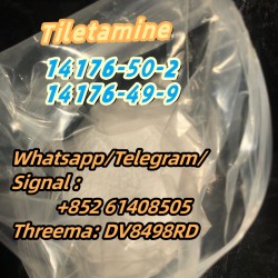 Good feedback  Tiletamine /14176-50-2/14176-49-9