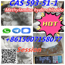 Hot Selling 99% purity CAS 593-51-1 Methylamine hydrochloride in Warehouse