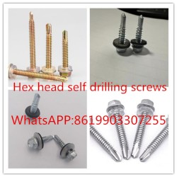 factory sales hex head self drilling  screws WhatsApp:8619903307255