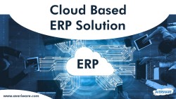 Flexible ERP Solution Tailored For Small Businesses