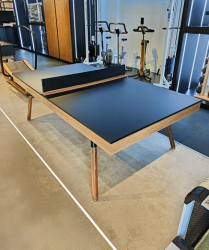 Elegant table tennis and table 2-in-1