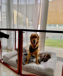 Hand Made Cage for pets