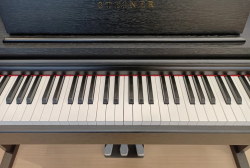 Steiner Digital Piano DP-200 V2