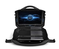 Gaems Vanguard Portable Monitor Compatible with PS4, PS3, Xbox One, Xbox 360 (Consoles Not Included)