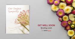Funny get well soon cards