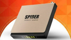 SPIDER FOREVER 10+ gold max tv box 10 year service