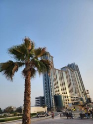 Penthouse In Ajman, Directly Overlooking The Corniche, Large Areas