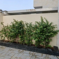 Townhouse for sale in Ajman, Al Zahia area, with a very distinctive modern character-pic_1