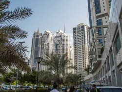 Furnished 1 Bed Apartment for Rent in The Point Dubai Marina