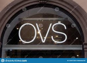 OVS rent a car company