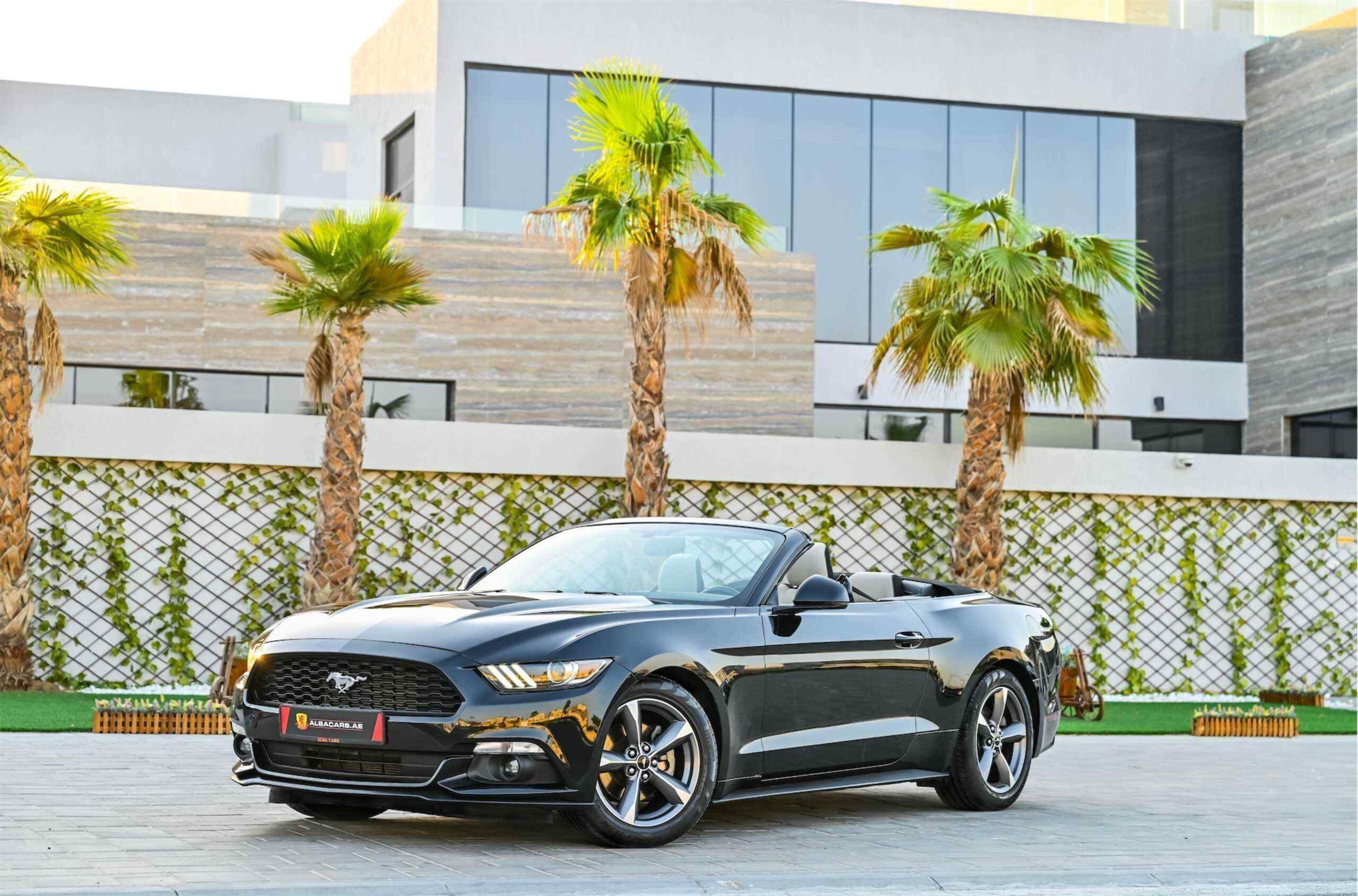 Top 7 Best Mustang Convertible Cars for Sale in Jumeirah Lake Towers
