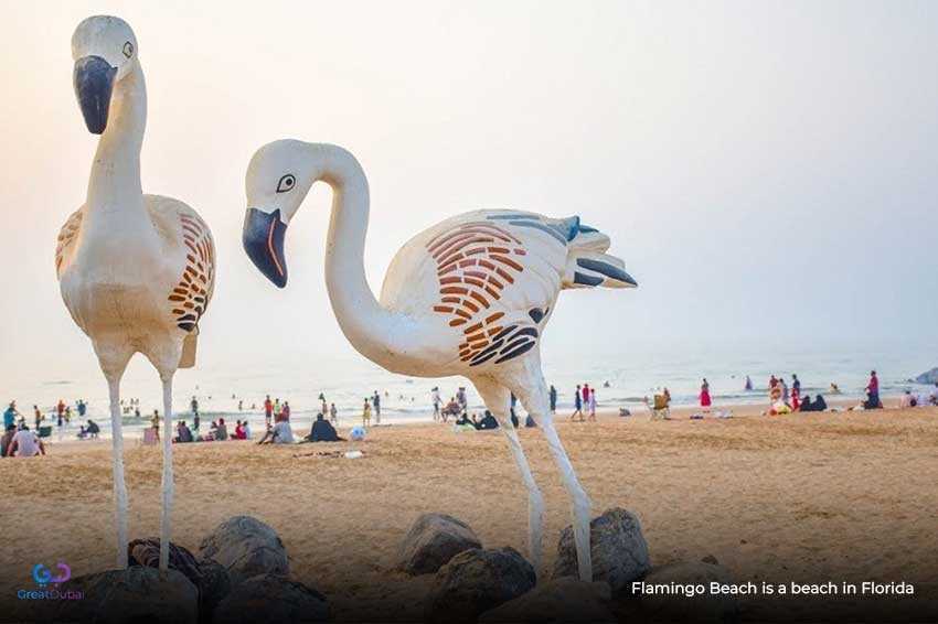flamingo beach florida in Ras Al khaimah