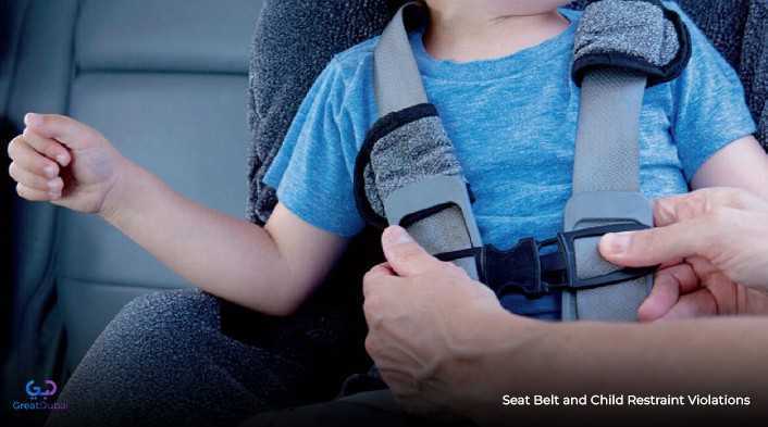 Seat Belt and Child Restraint Violations