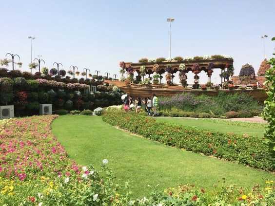 Pros and Cons of Living in Discovery Gardens Dubai