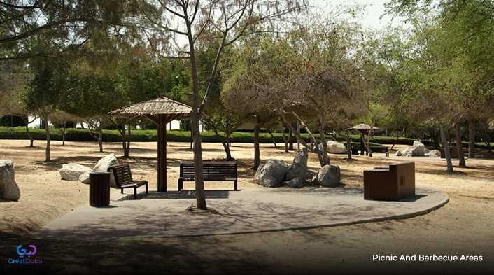Picnic and Barbecue Areas