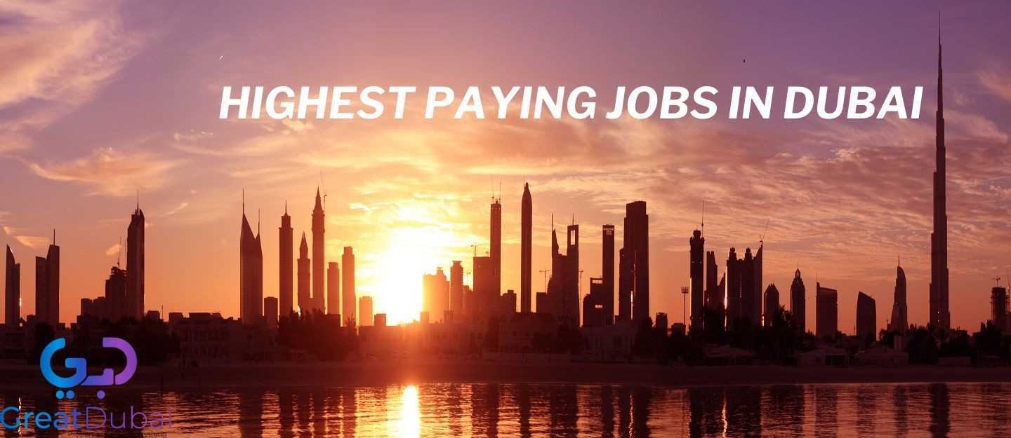 Discover Top 16 Highest Paying Jobs in Dubai