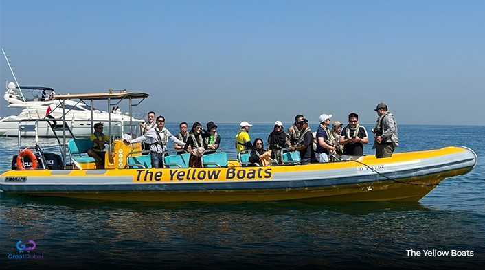 The Yellow Boats