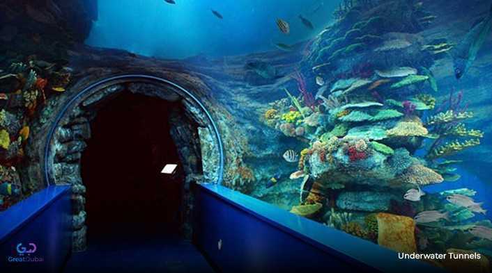 Underwater Tunnels
