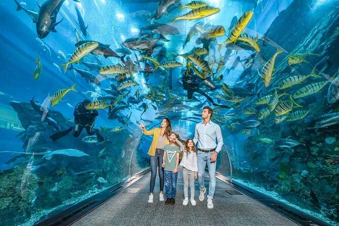 Top Best Dubai Aquarium and Underwater Zoo