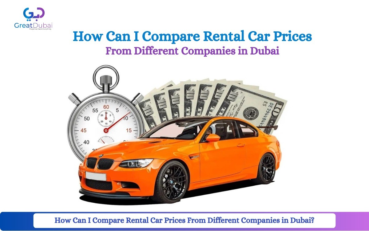 How can I compare rental car prices from different companies in Dubai?